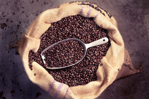 Whole Bean Wholesale