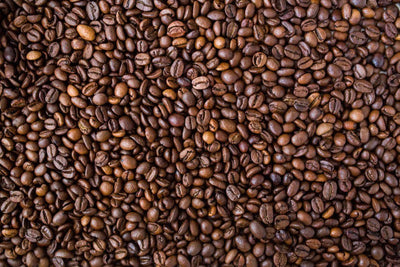 Sumatra Roasted Whole Bean - Ollita Coffee Company
